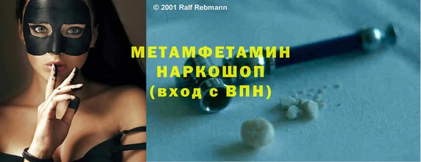 стаф Инта