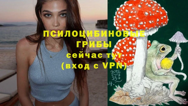 мескалин Инсар