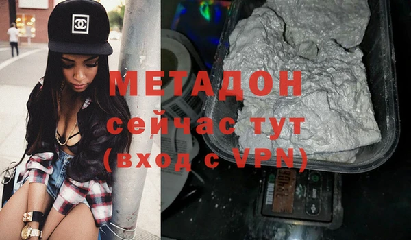 стаф Инта