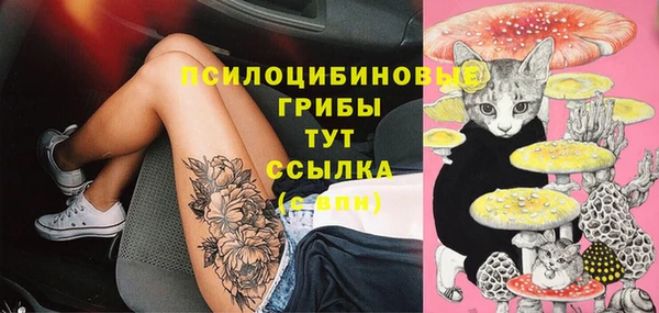 мескалин Инсар