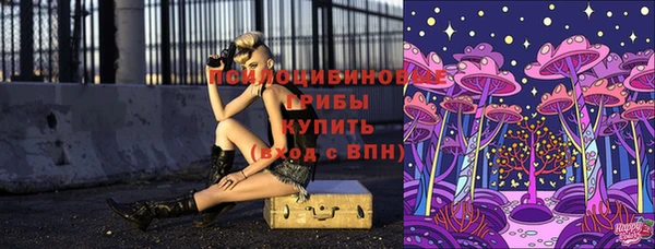 мескалин Инсар