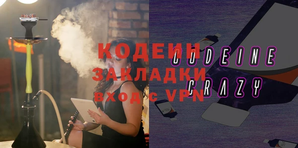 амф Каменка