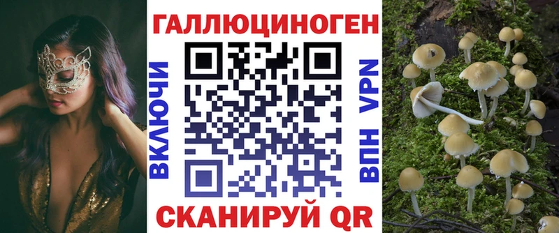 Купить где  Починок  Галлюциногенные грибы Psilocybine cubensis 
